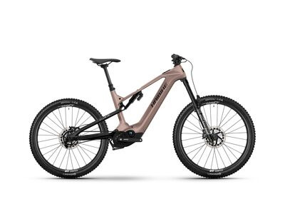 Haibike ALLMTN CF 11 TRN/IQ